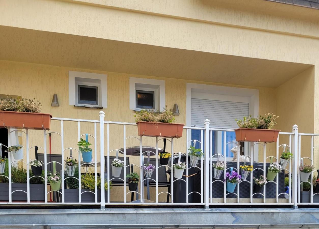 Pension Relax U Komina Františkovy Lázně 外观 照片